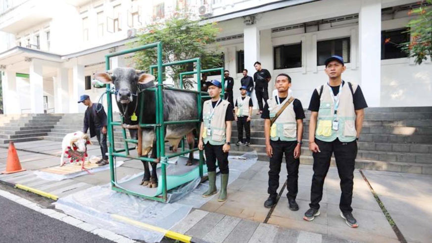 184 Petugas di Kota Bandung Dikerahkan, Pastikan Hewan Kurban Sehat hingga Hari Tasyrik