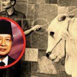 Asal-usul Dana Sapi Kurban Setiap Idul Adha yang Gunakan Label “Bantuan Presiden”