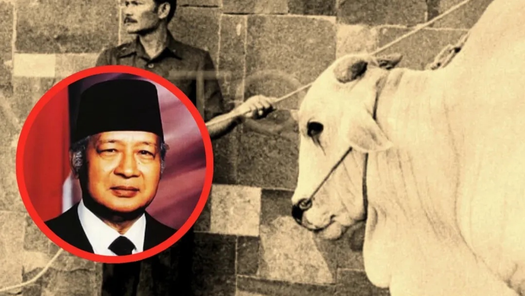 Asal-usul Dana Sapi Kurban Setiap Idul Adha yang Gunakan Label “Bantuan Presiden” Asal-usul Dana Sapi Kurban Setiap Idul Adha yang Gunakan Label “Bantuan Presiden”