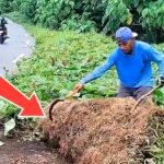 Penjual Sayur Keliling di Maluku Tengah Ini Babat Rumput Liar yang Telan Setengah Jalan Raya