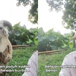 Momen Kocak Pedagang Ini Ungkap Alasan Kambingnya Tidak Laku Dijual Saat Idul Adha