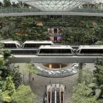 Biophilic Design, Cara Bandara di Singapura Mendesain Ruang agar Dekat dengan Alam