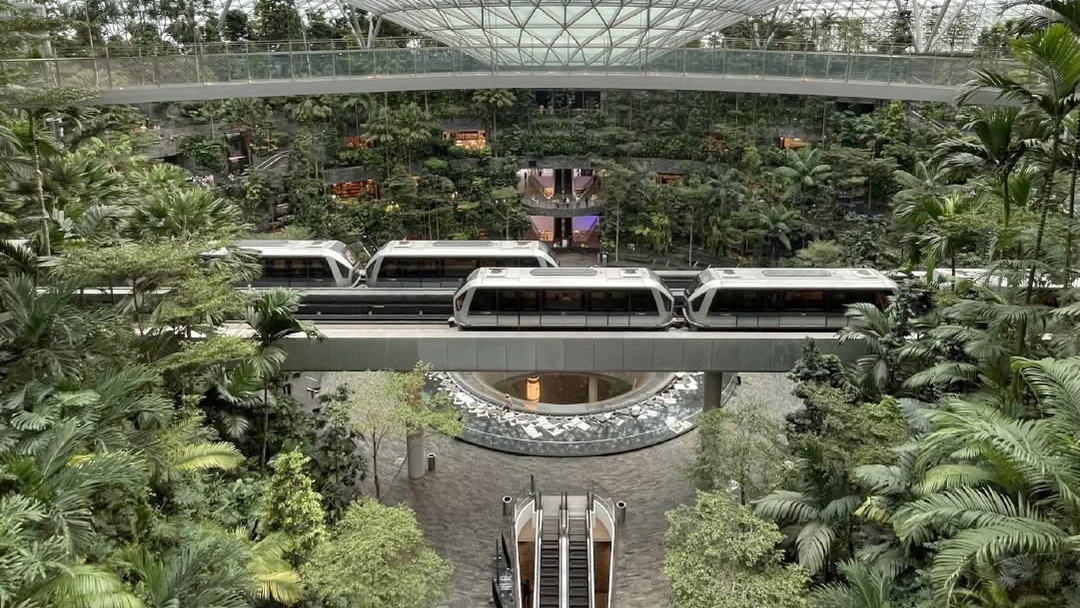 Biophilic Design, Cara Bandara di Singapura Mendesain Ruang agar Dekat dengan Alam