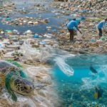12 Negara dengan Krisis Sampah Plastik yang Terparah di Dunia