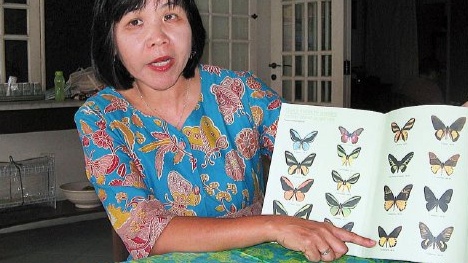 Djunijanti Peggie, Doktor Kupu-kupu Pertama yang Ada di Indonesia Djunijanti Peggie, Doktor Kupu-kupu Pertama yang Ada di Indonesia
