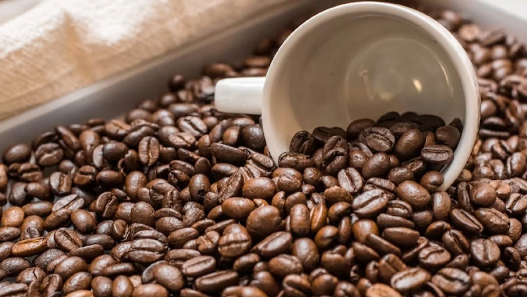 Produsen Kopi Terbesar, tetapi Mengapa Indonesia Masih Merasa Inferior?