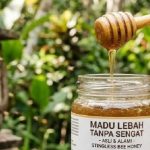 BRIN Temukan Madu Lebah Tanpa Sengat dengan Manfaat Antikanker