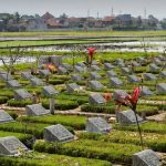 Rumputisasi TPU di Kota Bandung Hadirkan Pemakaman yang Lebih Asri