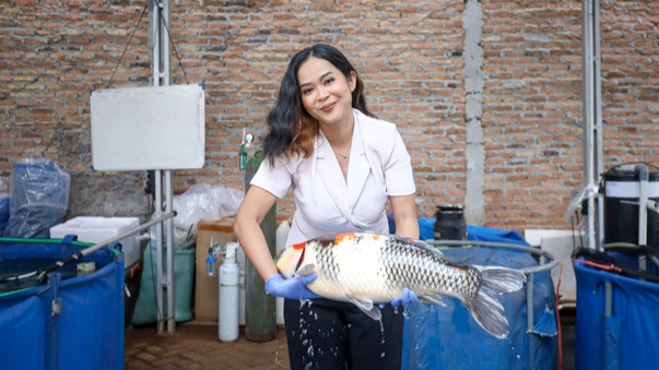 Dokter Citan, Dokter Spesialis Ikan Hias dan Hewan Akuatik Dokter Citan, Dokter Spesialis Ikan Hias dan Hewan Akuatik