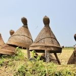 Nampling, Tradisi Berburu Hama yang Jadi Warisan Budaya Jawa Barat