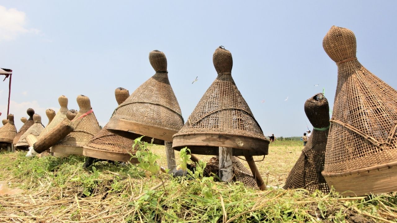 Nampling, Tradisi Berburu Hama yang Jadi Warisan Budaya Jawa Barat Nampling, Tradisi Berburu Hama yang Jadi Warisan Budaya Jawa Barat