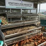 Apartemen Ayam-Maggot ITB, Inovasi Cerdas Atasi 250 Kg Sampah Organik per Hari