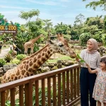 Lembang Park & Zoo, Destinasi Wisata Keluarga untuk Mengenal Beragam Satwa