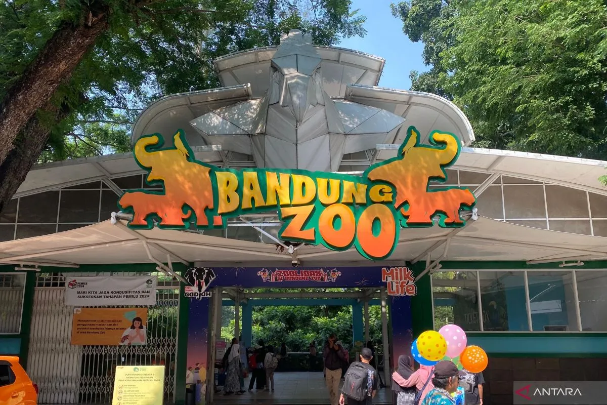 Enam Bangunan Bandung Zoo Kini Diserahkan ke Pemkot, Apa Langkah Berikutnya?